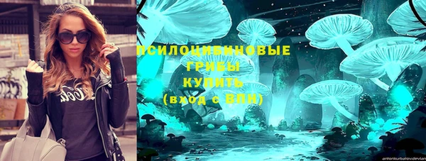 соль курить ск Бородино