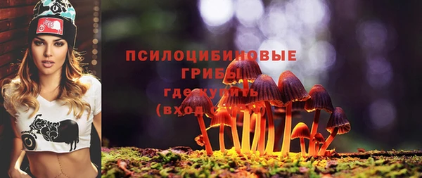 мдпв Бронницы