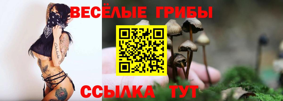 Заречный  Галлюциногенные грибы Magic Shrooms  Вход с VPN  Псилоцибиновые грибы MAGIC MUSHROOMS 