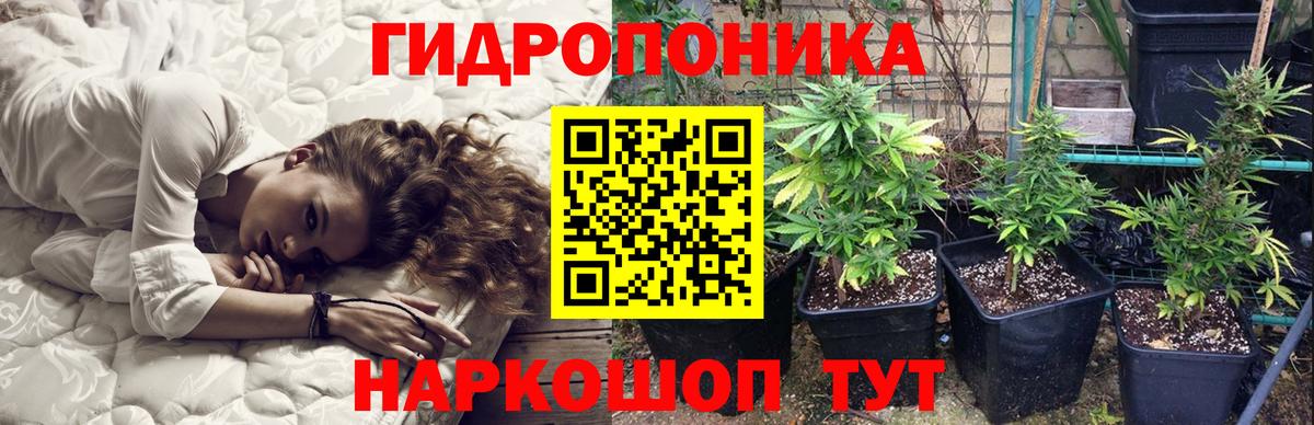 Бошки Шишки индика  Вход с VPN  Шишки марихуана White Widow  Заречный 